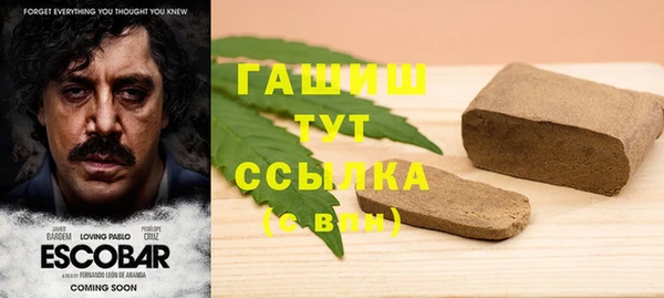 молекула духа Абинск