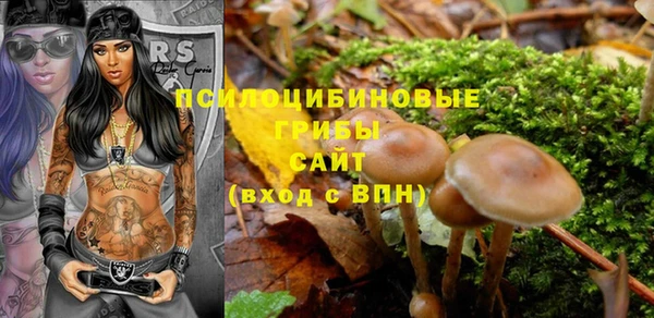 молекула духа Абинск