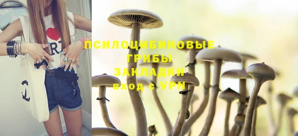 a pvp Михайловск