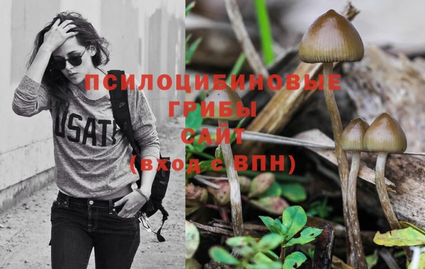 шишки Михайлов