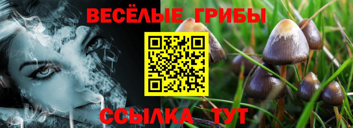 Псилоцибиновые грибы мицелий  Галлюциногенные грибы прущие грибы  Вичуга  Вход с VPN 