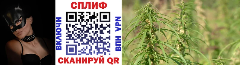 Конопля OG Kush Вичуга