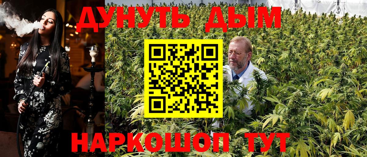 Бошки Шишки гибрид Вичуга
